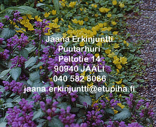 jaana.erkinjuntti@etupiha.fi
